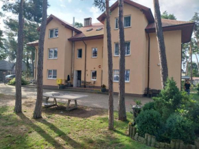 W Sosnach C, Dziwnówek